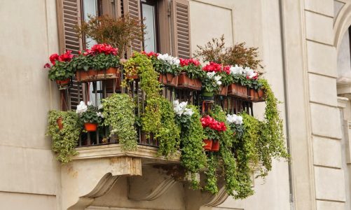 Ukwiecony balkon – które rośliny wybrać