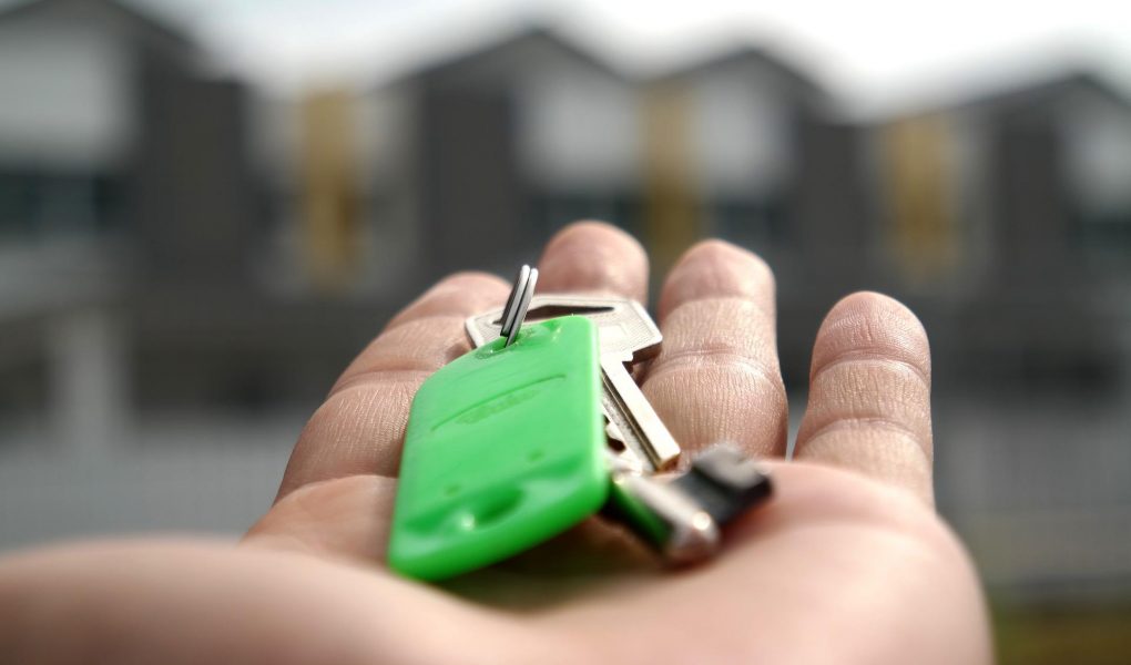 Zakup mieszkania na rynku pierwotnym – jakie wybrać?