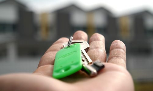 Zakup mieszkania na rynku pierwotnym – jakie wybrać?